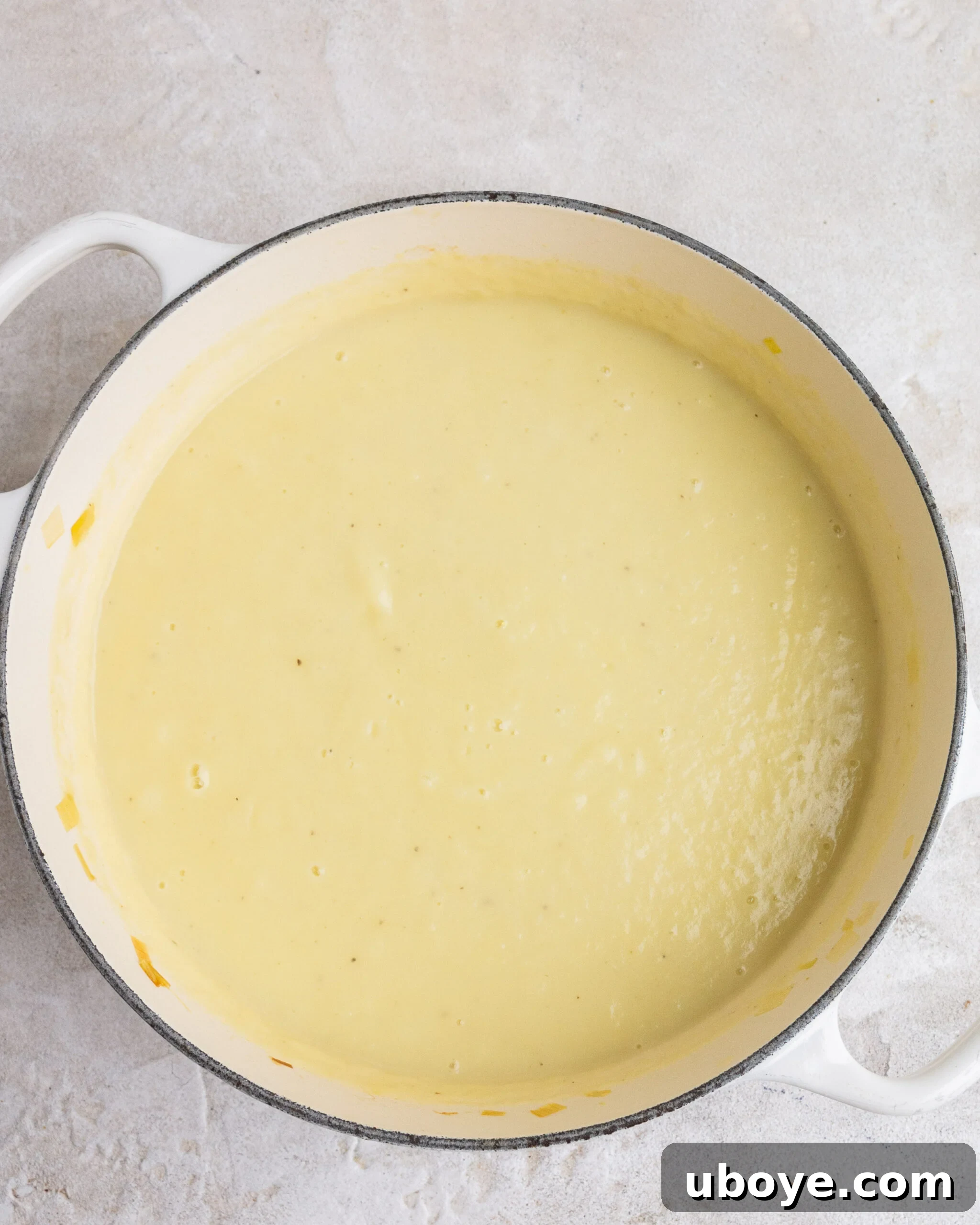 Silky Potato Leek Delight 4 A bowl of perfectly blended potato and leek soup, showcasing its smooth, creamy, and velvety texture. The soup is light in color, hinting at its delicate flavor profile.