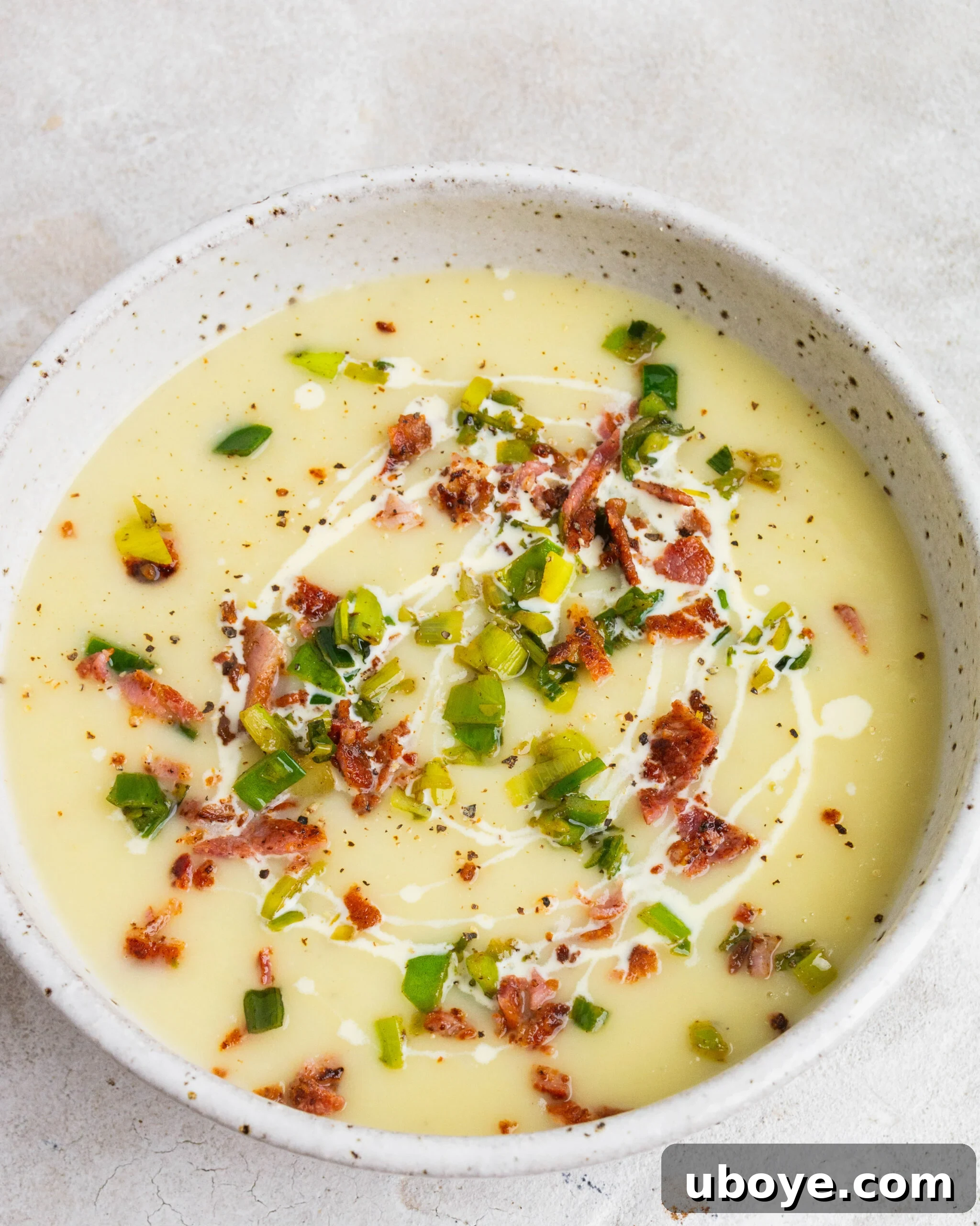 Silky Potato Leek Delight 6 A vibrant, inviting bowl of creamy potato and leek soup, artfully garnished with golden crispy leek tops and crunchy bacon bits. A delicate swirl of cream adds to its visual appeal, while a slice of olive oil-fried crusty bread is nestled in the bowl, ready for dipping.