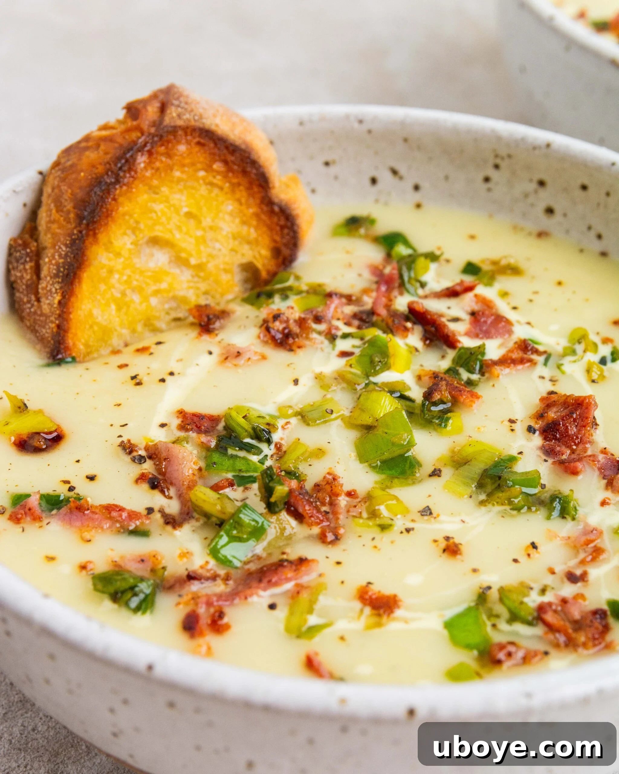Silky Potato Leek Delight 7 A large white bowl of creamy potato and leek soup, beautifully garnished with golden crispy leek tops and savory bacon bits. A delicate drizzle of cream adds a final touch. Beside the bowl, a blue spoon rests, and a generous slice of olive oil-fried crusty bread is nestled in the soup, ready for dipping.