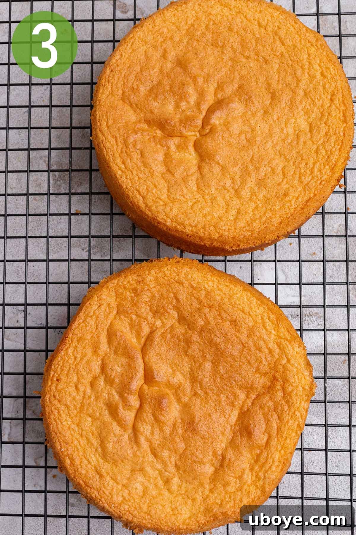 Strawberry Cream Dream Cake 5 Two freshly baked sponge cakes cooling on a wire rack.