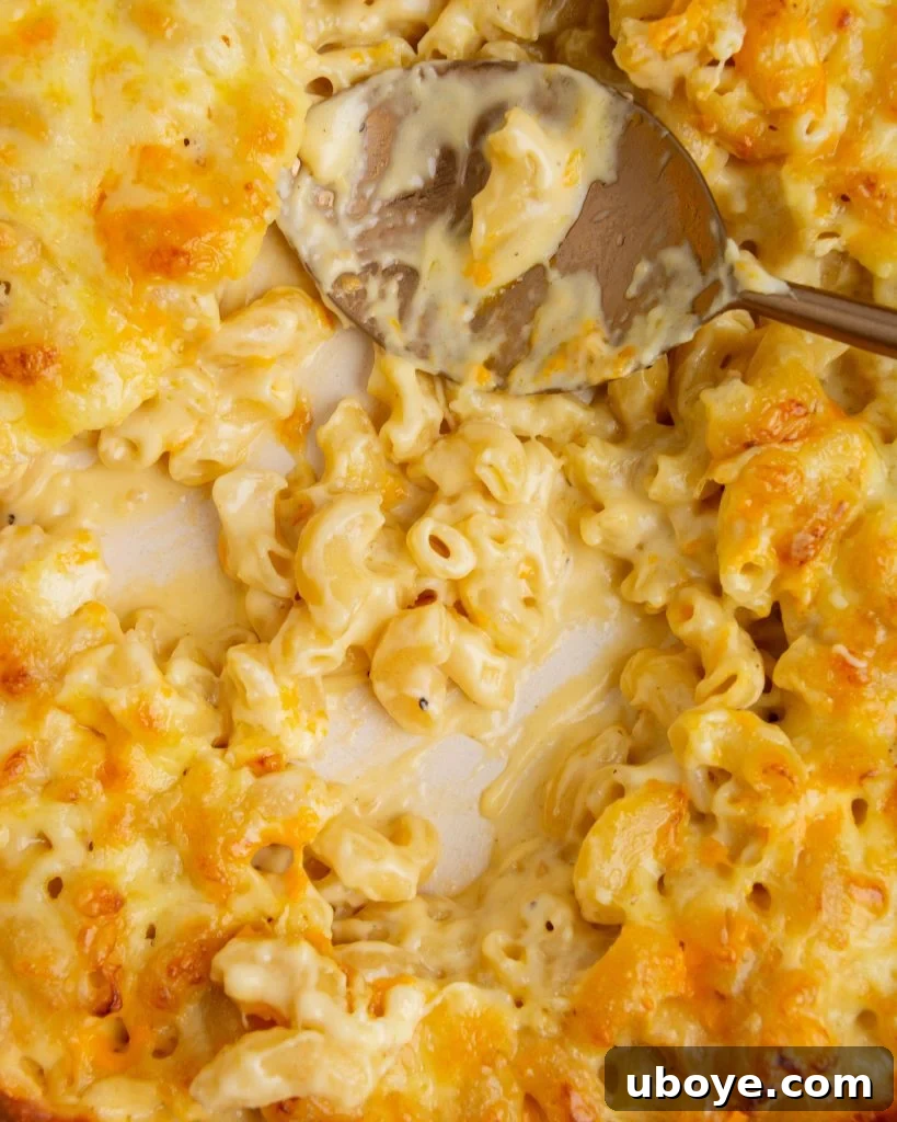 Golden baked mac and cheese with garlic confit, a spoonful has been taken out showing the creamy interior.