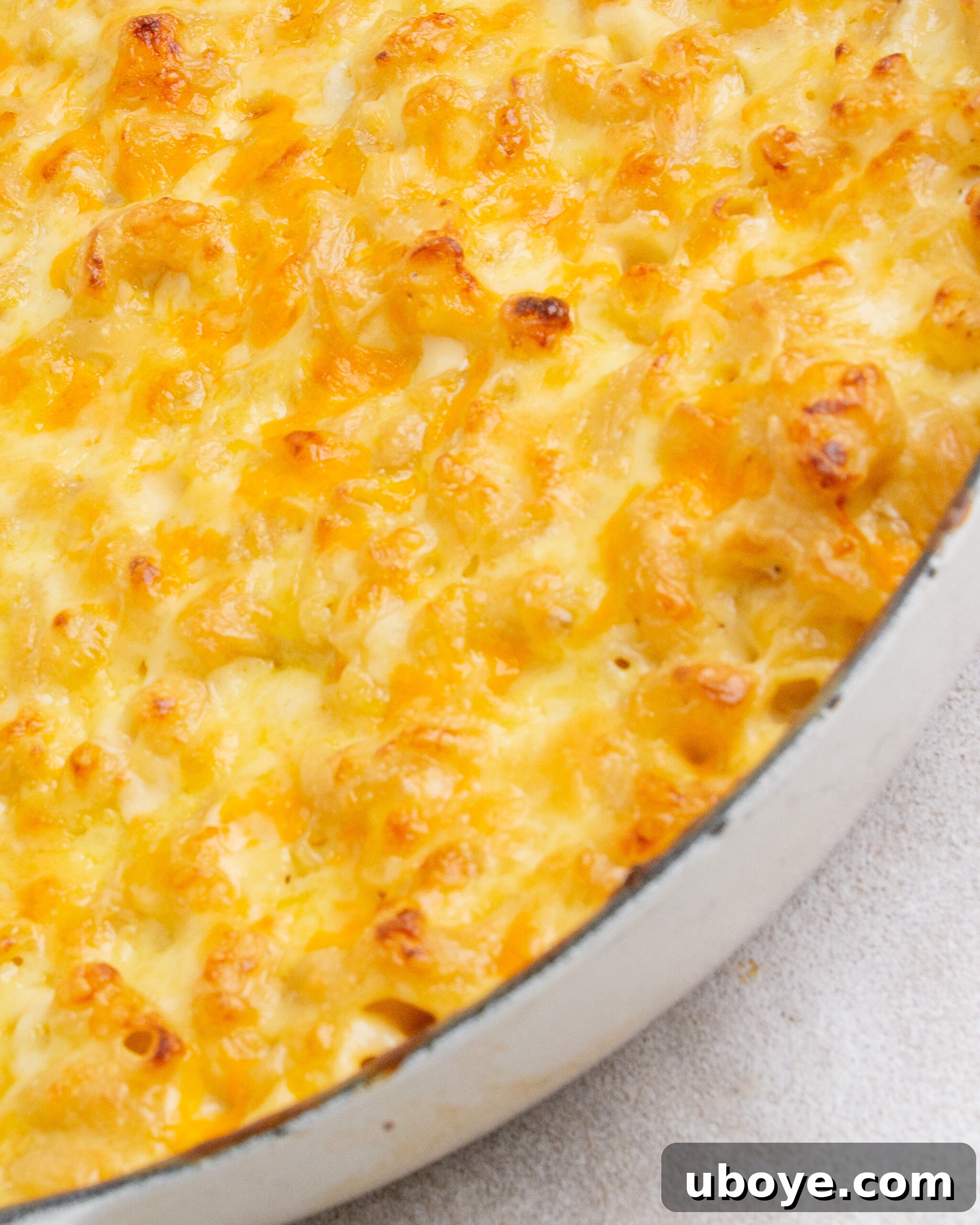 Baked mac and cheese with garlic confit in a large white baking tray, boasting a perfectly golden-brown and bubbly top.