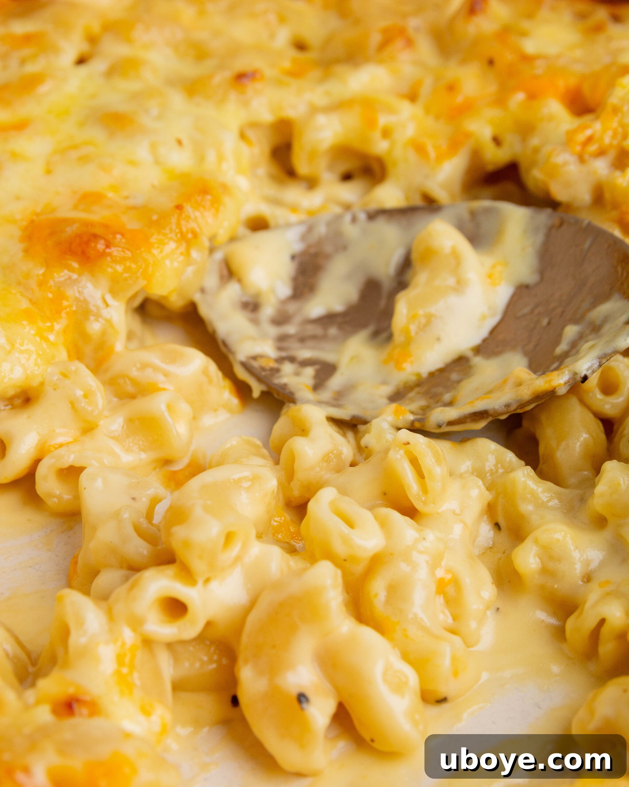 A golden spoon breaking into a serving of hot, baked mac and cheese with garlic confit, revealing the creamy texture.