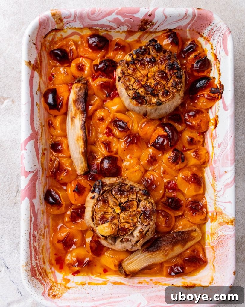 Roasted tomato and Goat Cheese Pasta served