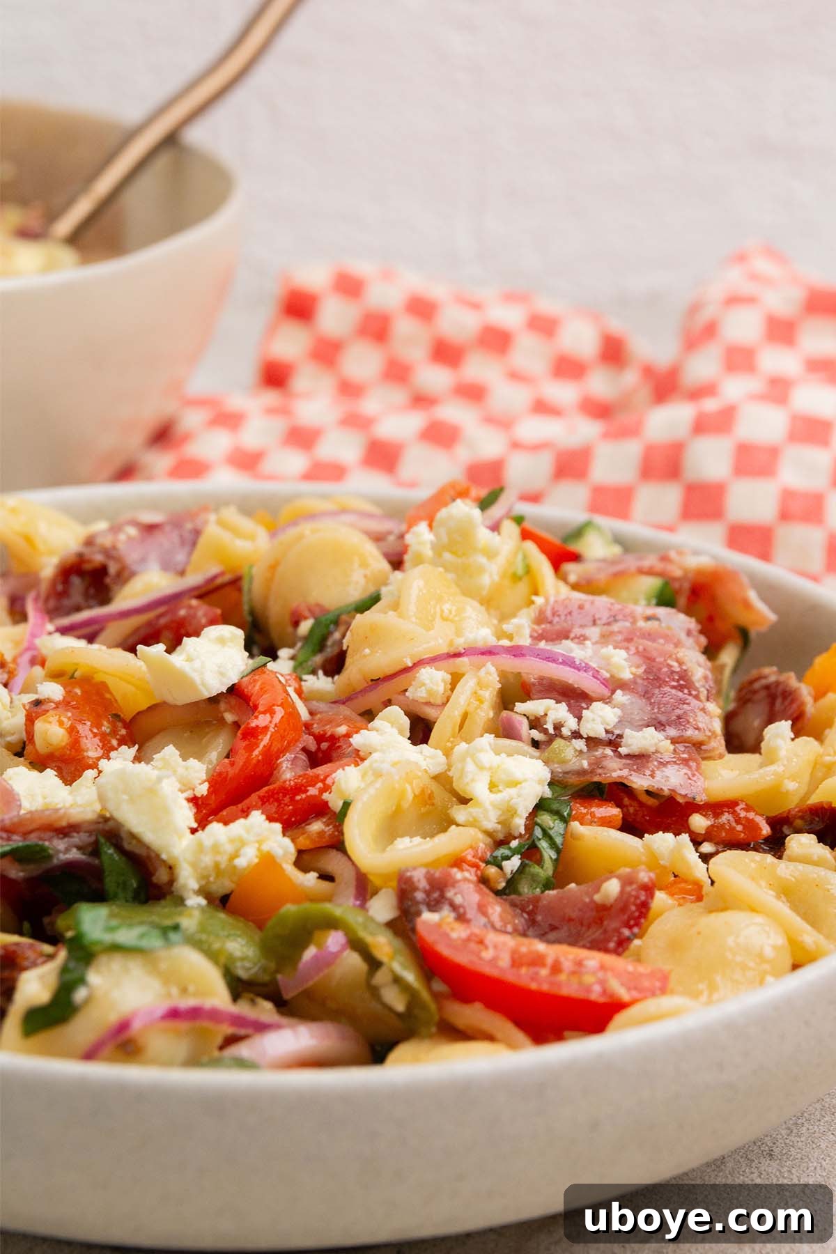 A large, inviting bowl of Rainbow Antipasto Pasta Salad, beautifully presented for serving.