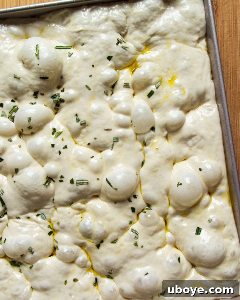 Golden Caramelized Onion Sheet Pan Pizza 7 Prepared pizza dough ready for toppings on a sheet pan