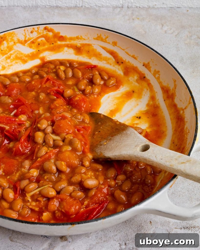 Rustic Tomato Garlic Beans 5 Uncooked Borlotti beans in a bowl, showcasing their distinctive speckled pattern.