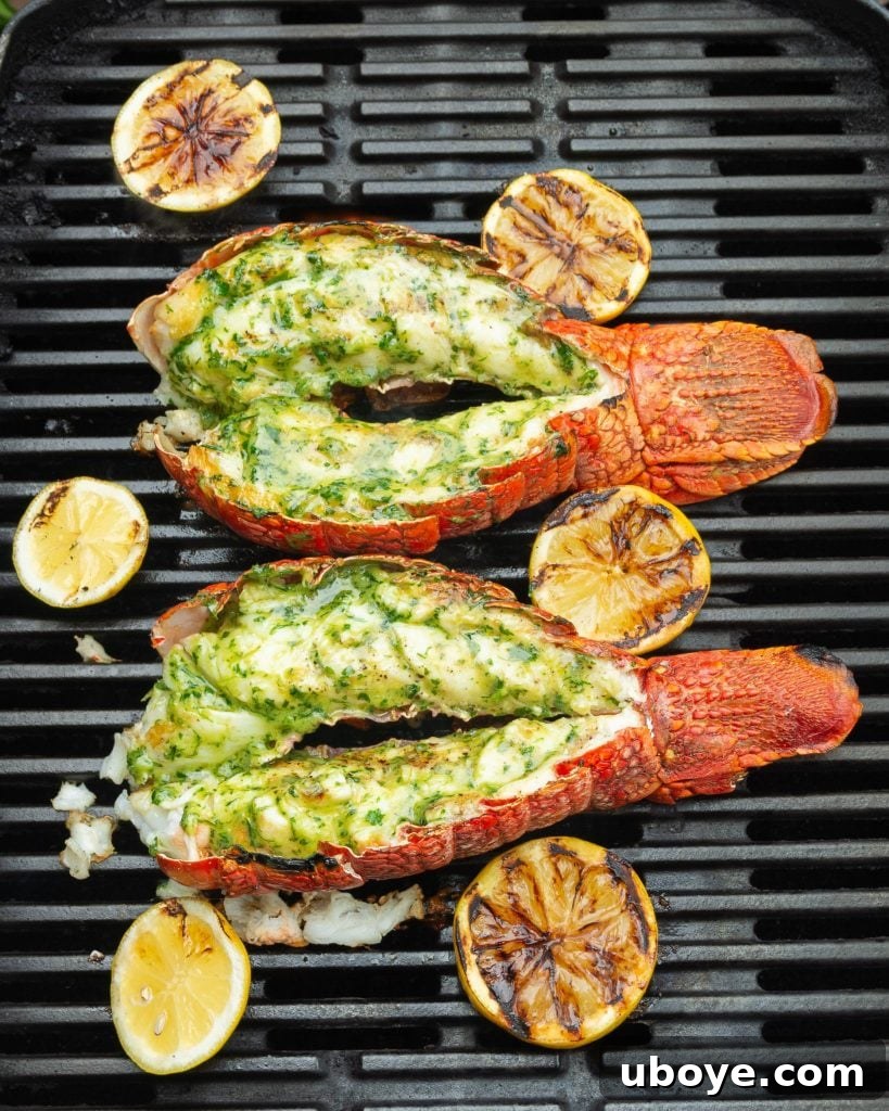 Love Beyond Labels: A Valentine's Dinner 8 Garlic Confit Butter Lobster Tails