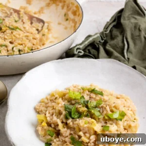 A perfectly portioned serving of creamy leek risotto in a white bowl, ready to be enjoyed.