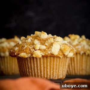 Fluffy Vegan Apple Muffins, recipe card image