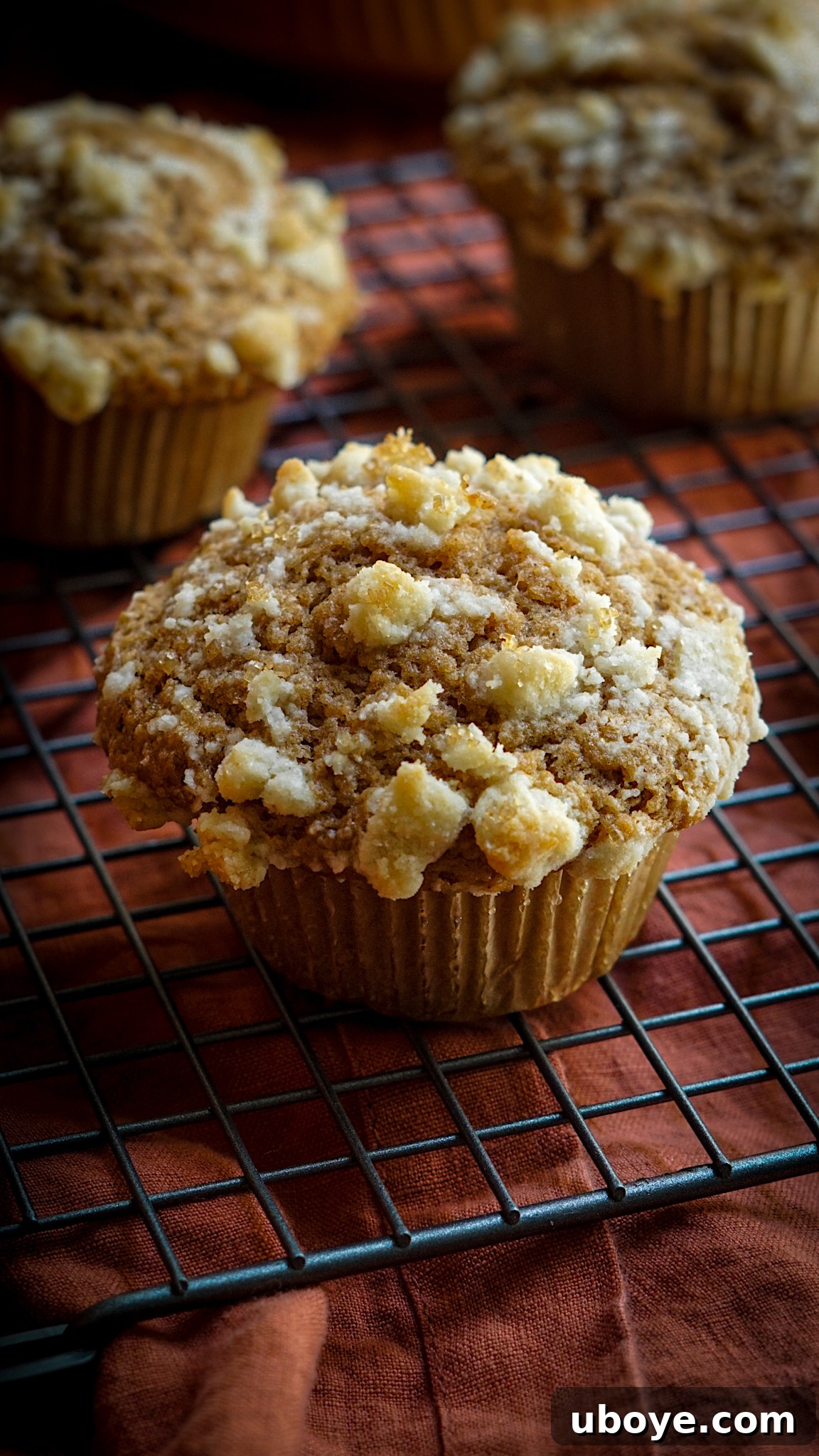 A beautifully styled flat lay of freshly baked vegan apple muffins with streusel topping, emphasizing their inviting appeal.