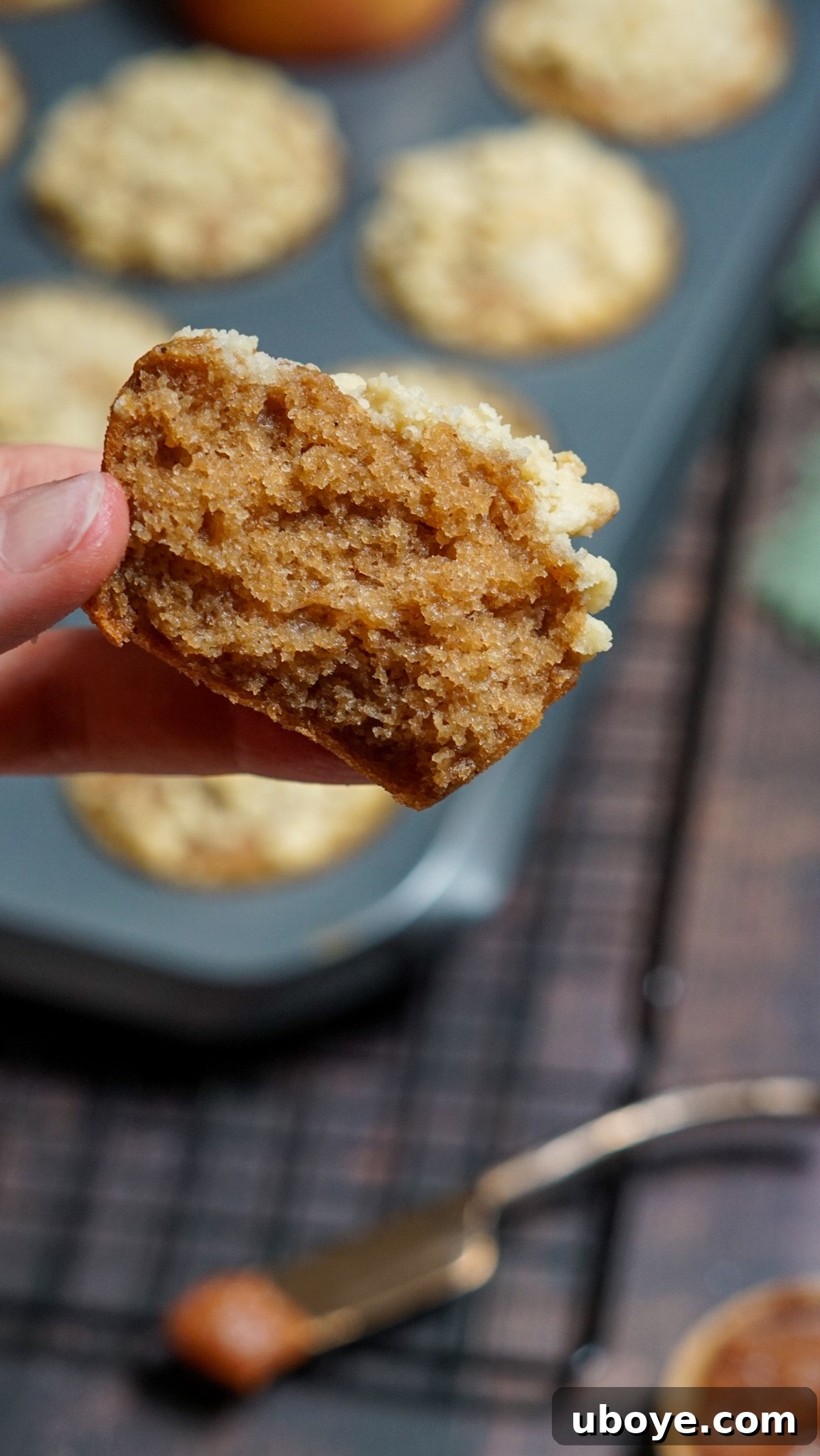 Twelve fluffy vegan apple muffins with streusel topping in a muffin tin, freshly baked to a golden brown perfection.