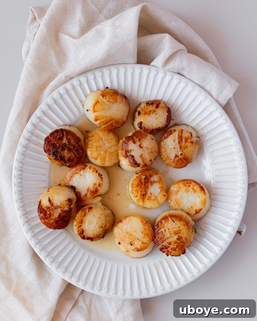 Plating Lemony Brothy Beans with Scallops with fresh herbs