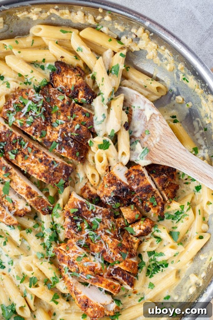 Single Skillet Creamy Chicken Alfredo 2 Delicious One-Pot Creamy Chicken Alfredo with Penne Pasta