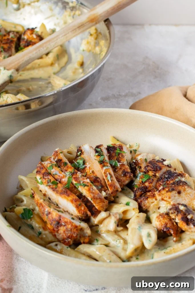 Single Skillet Creamy Chicken Alfredo 6 Gourmet Chicken Alfredo served elegantly in a shallow bowl