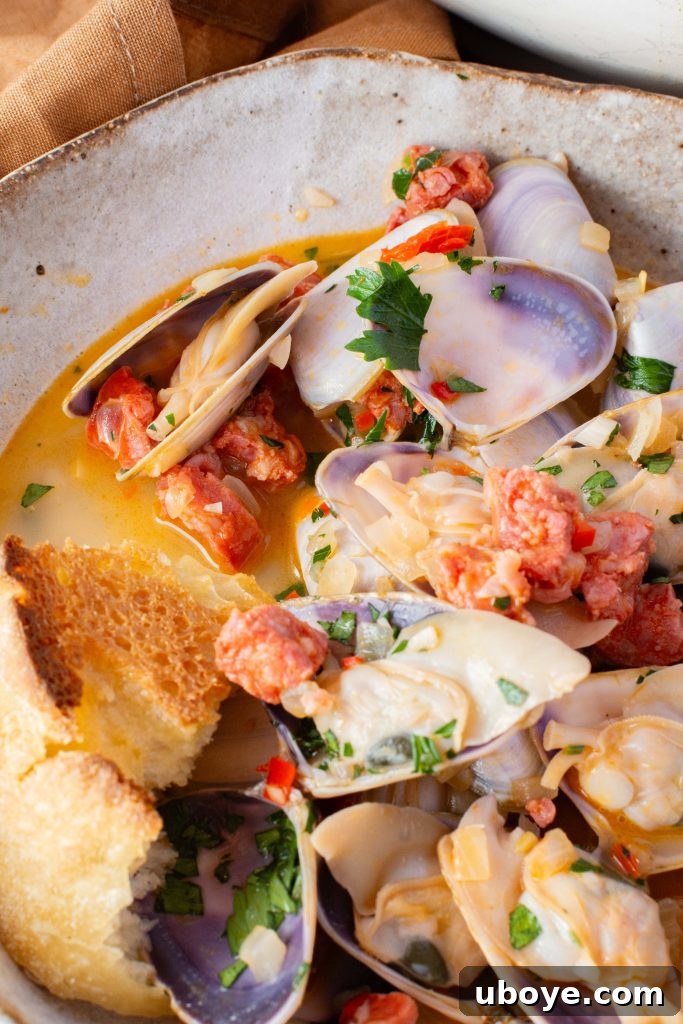 Sizzling Chorizo Clams 6 Chorizo clams
