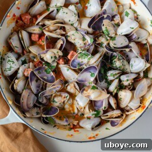 Sizzling Chorizo Clams 9 Chorizo Clams dish