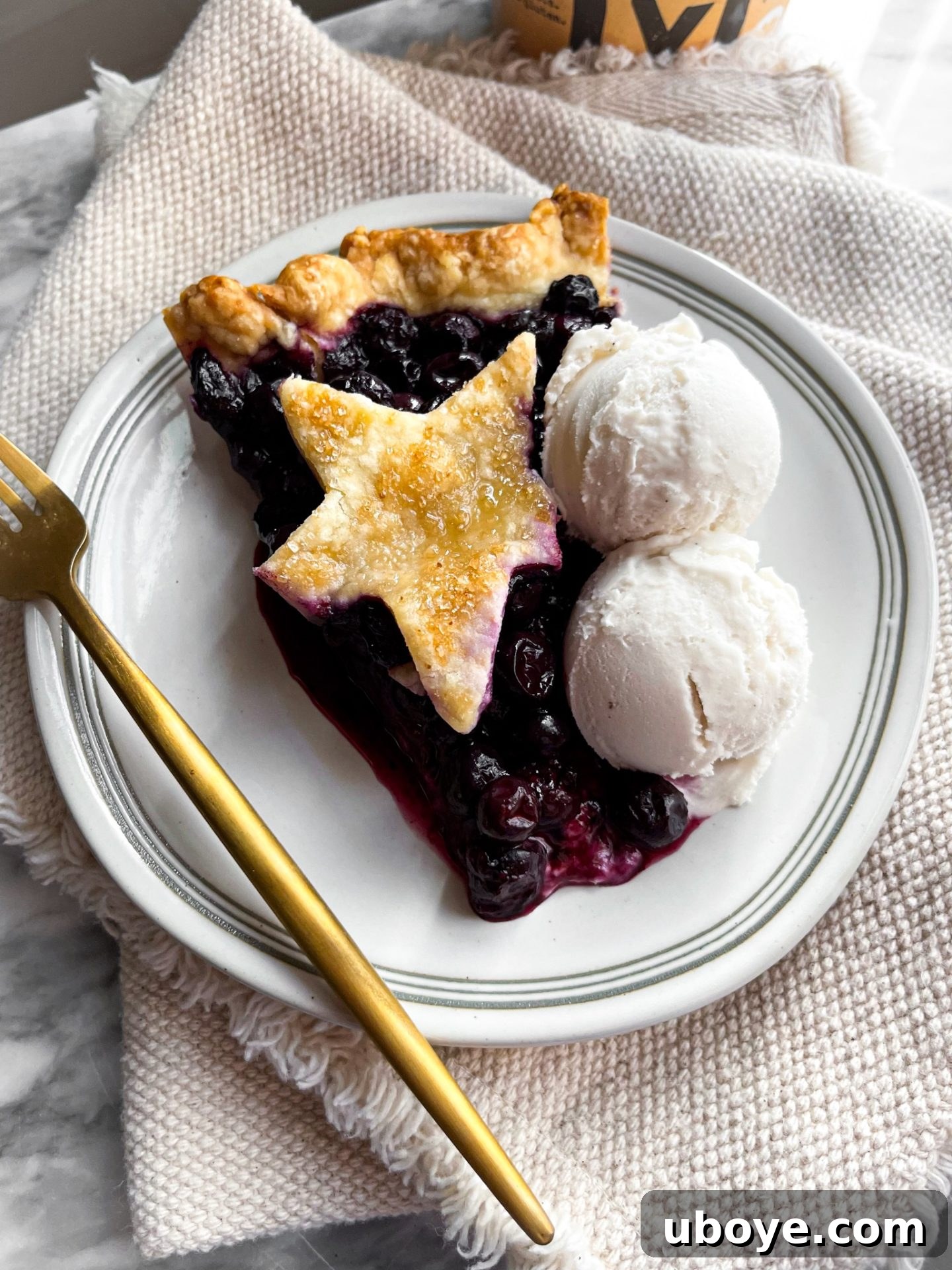 Grandma's Blueberry Comfort 2 A beautifully baked vegan blueberry pie with a golden, flaky crust, garnished and ready to serve.