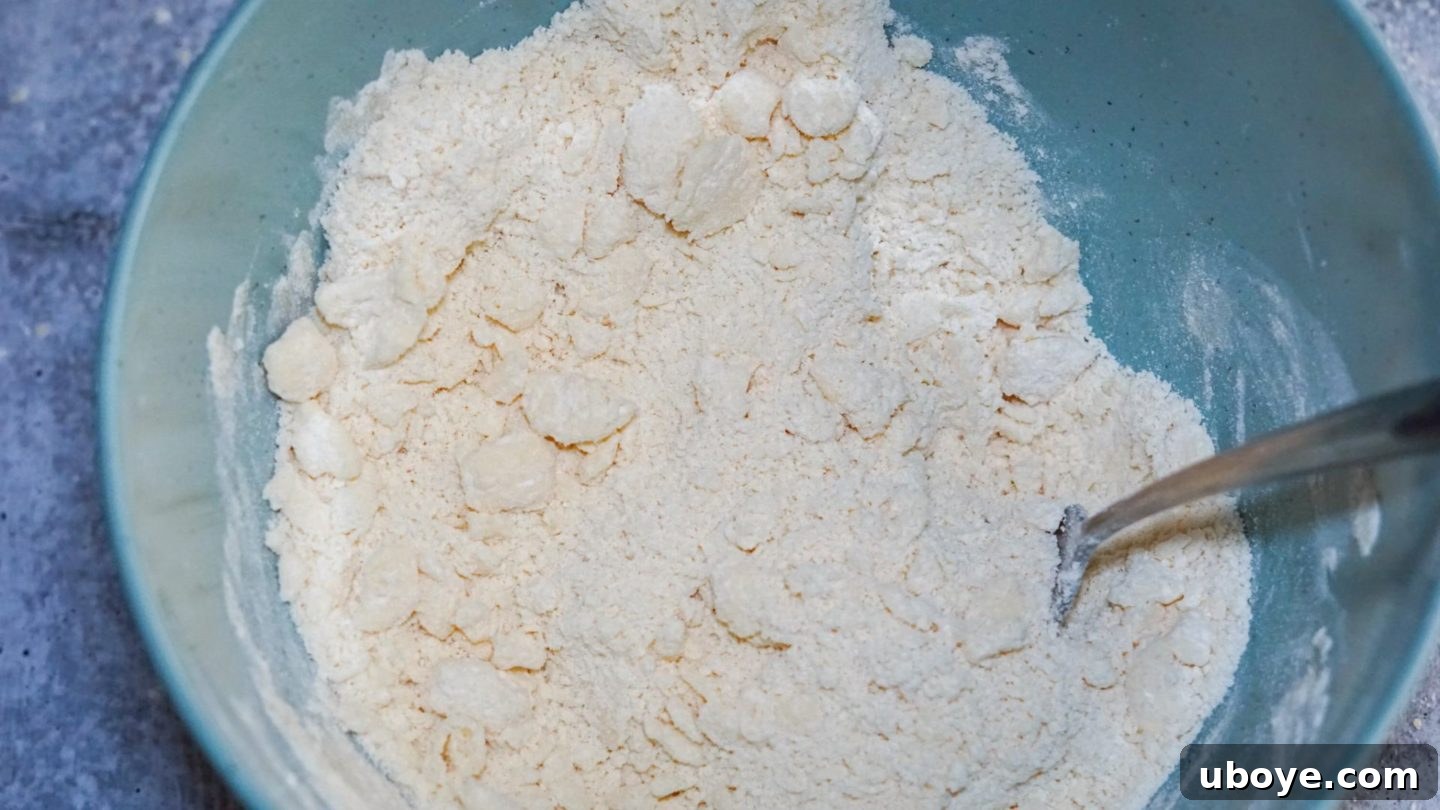 Grandma's Blueberry Comfort 6 A close-up image showing pea-sized pieces of cold vegan butter mixed into flour, the ideal consistency for a flaky pie crust.