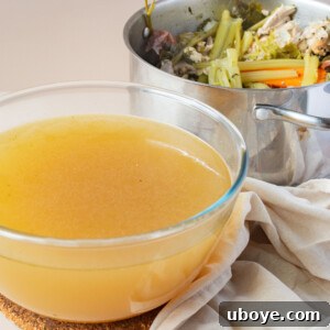 Liquid Gold 8 Homemade Chicken Stock