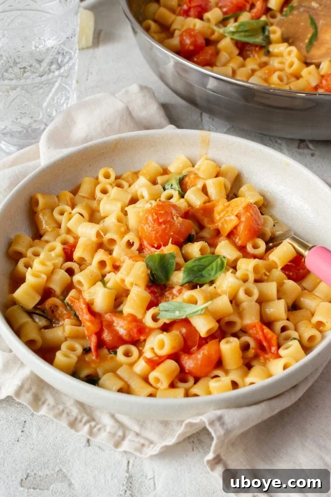 A vibrant bowl of freshly cooked One Pot Tomato Pasta, garnished with fresh basil leaves.