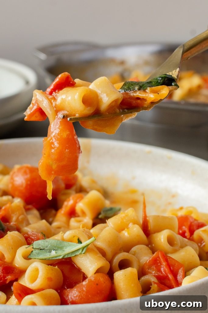 Freshly cooked One Pot Tomato Pasta, served in a bowl with basil, showcasing its creamy texture.