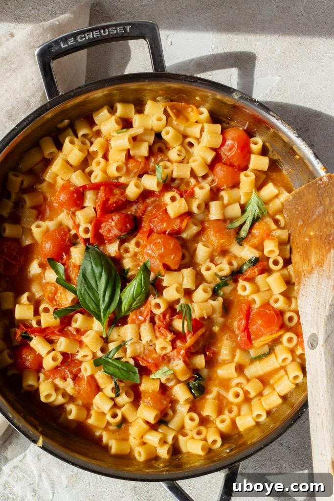 A serving of One Pot Tomato Pasta in a white bowl, garnished with a sprig of fresh basil.