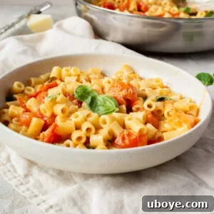 One Pot Tomato Pasta with fresh basil garnish