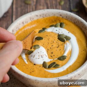 Round image of creamy vegan pumpkin soup.