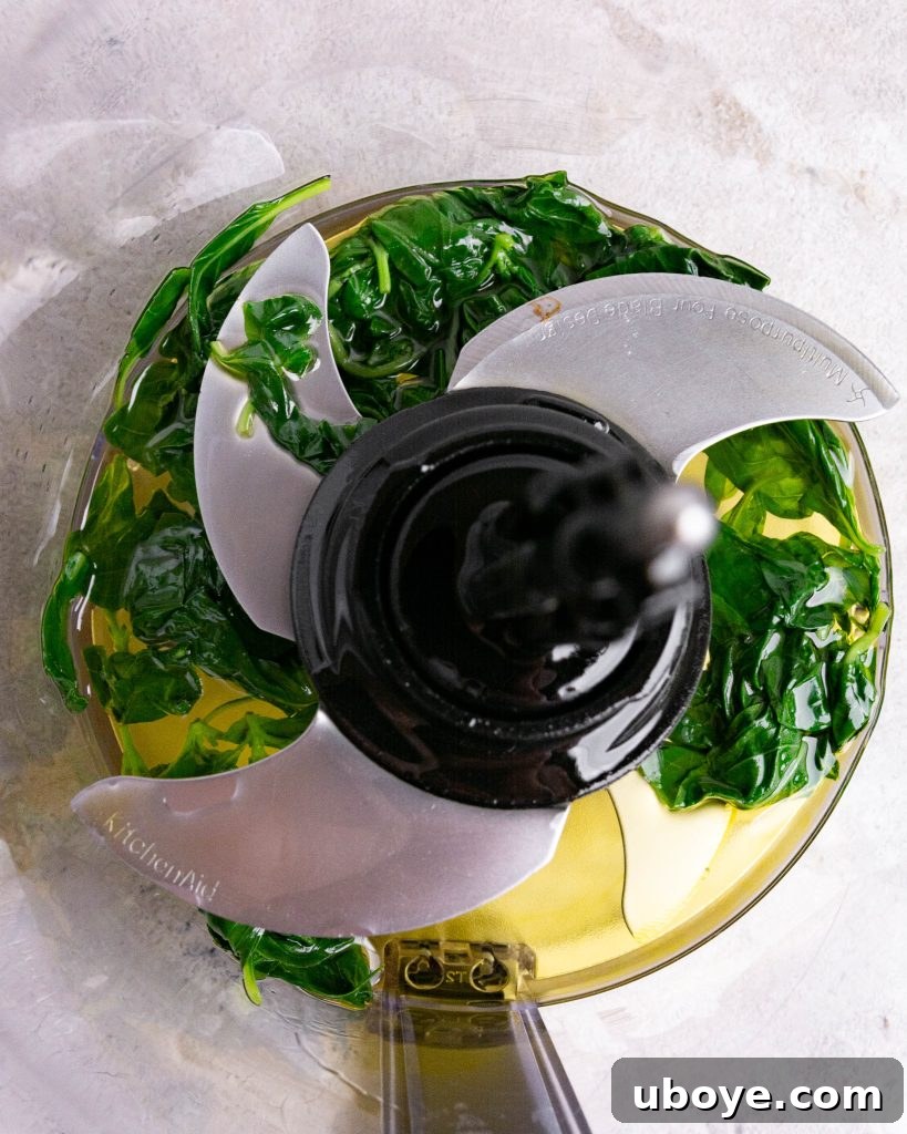 Fresh basil leaves being prepared for making basil oil
