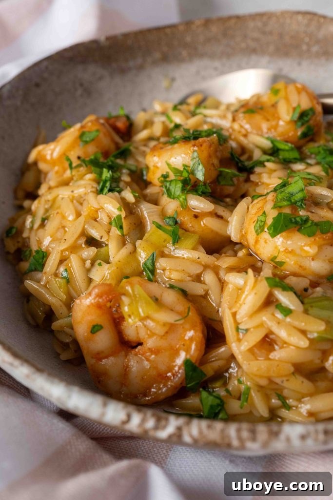 Creamy orzo pasta in a pan