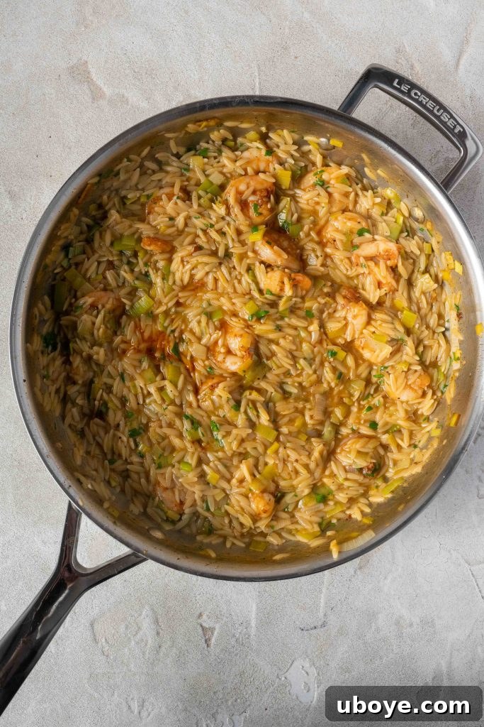 Lemony shrimp orzo ready to be served