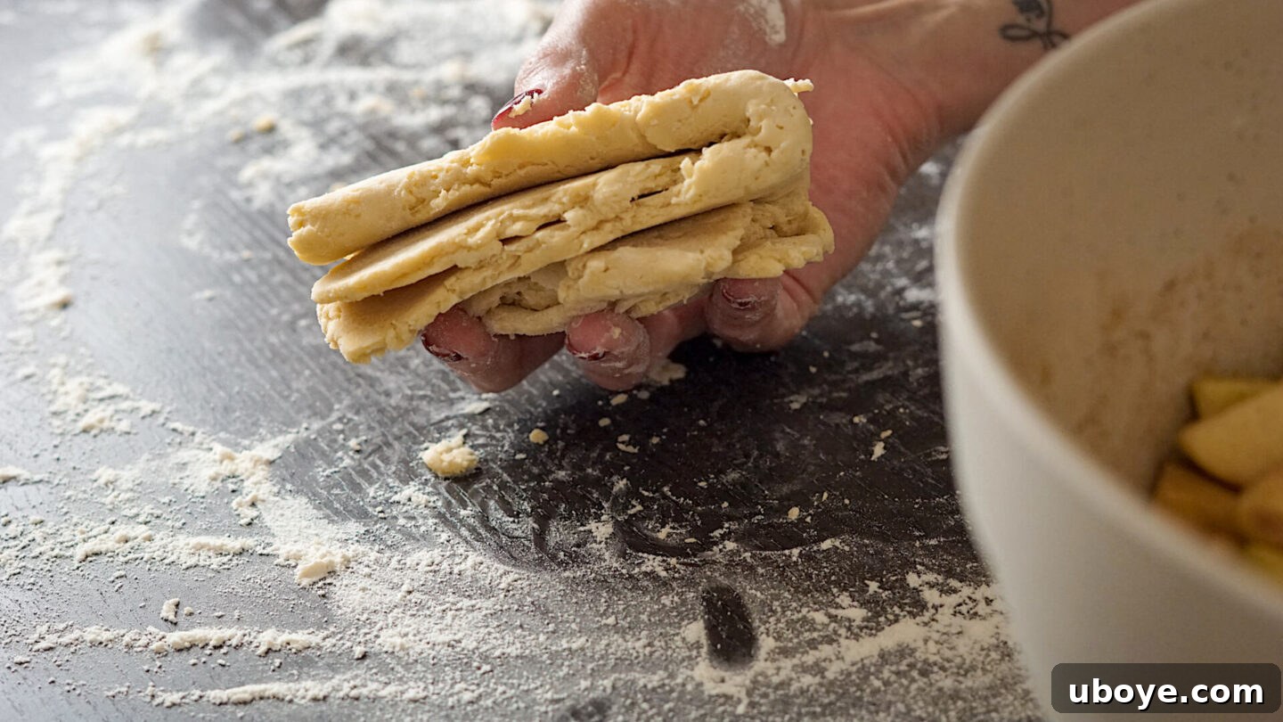 Timeless Vegan Apple Pie 7 chilled vegan pie dough disks wrapped in plastic wrap