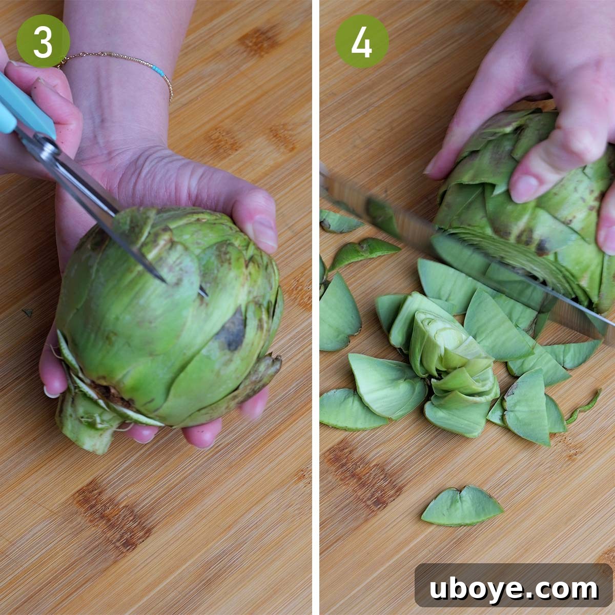 Hands using kitchen shears to trim the spiky tips off artichoke leaves and a sharp knife to cut off the top portion of the artichoke.