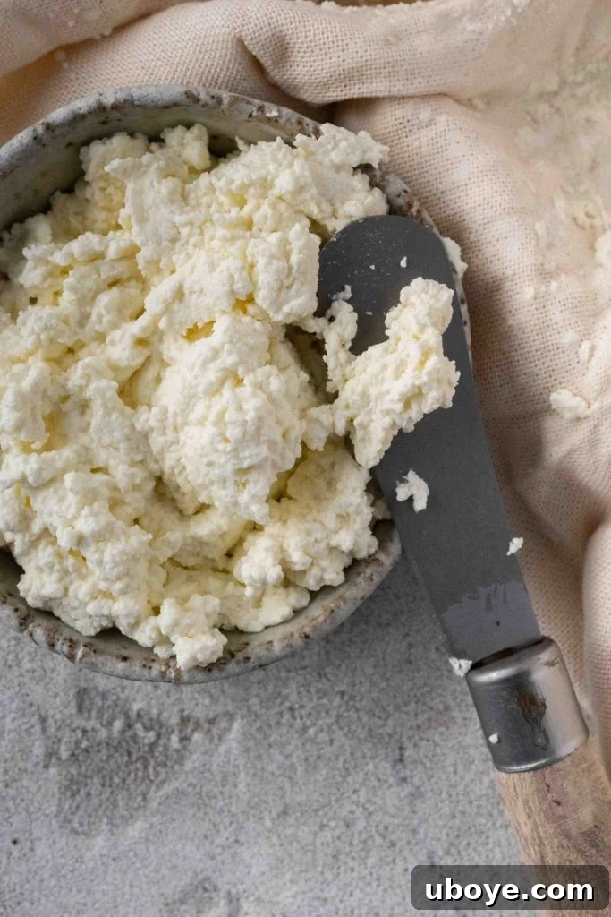Freshly made homemade ricotta cheese in a rustic bowl, showcasing its creamy texture and inviting appearance.