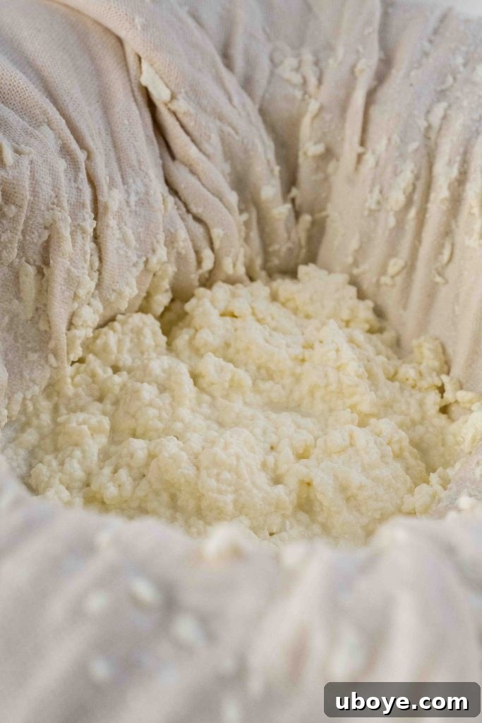 A visual display of the simple ingredients needed for homemade ricotta: a bottle of whole milk, fresh lemons, and a bowl of salt on a wooden surface.