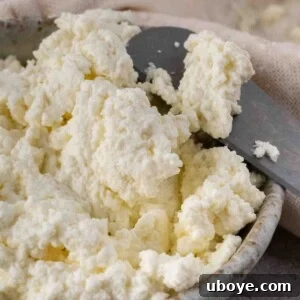 Creamy Homemade Ricotta Cheese in a bowl with a spoon