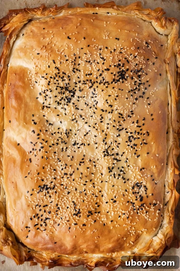 A freshly baked Spanakopita dish on a cutting board