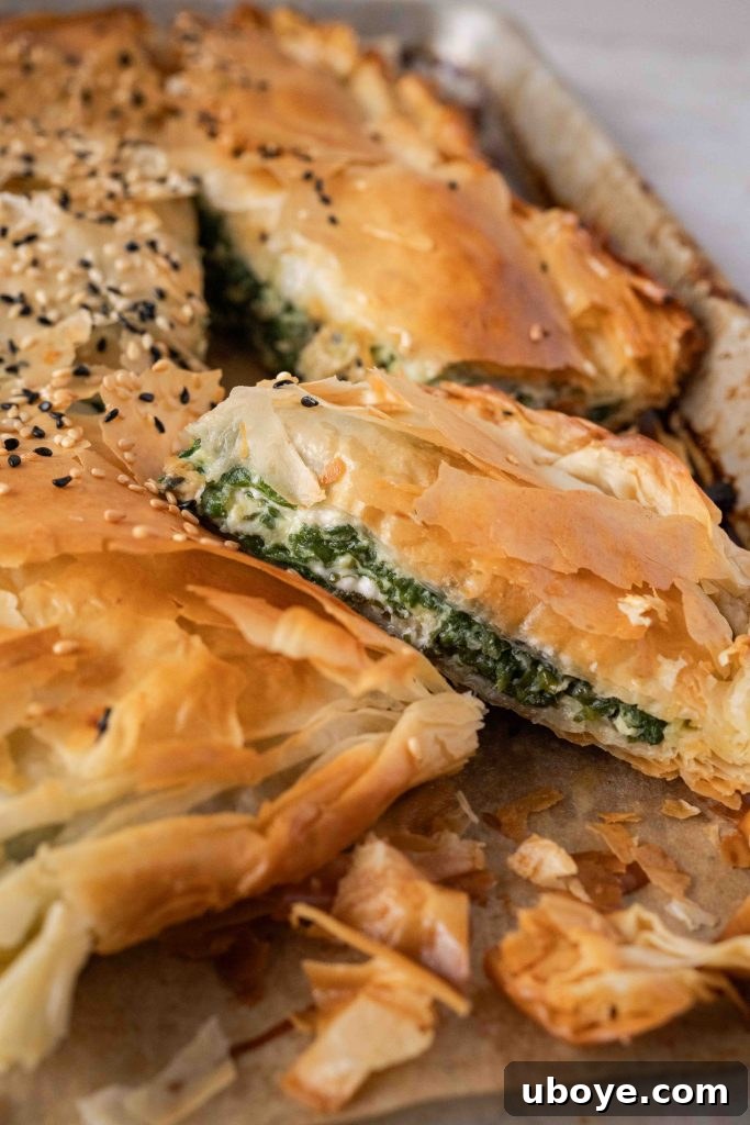 Spanakopita served with fresh side dishes