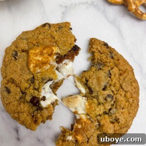Beautifully arranged Vegan Pretzel S'mores Cookies ready to be served.
