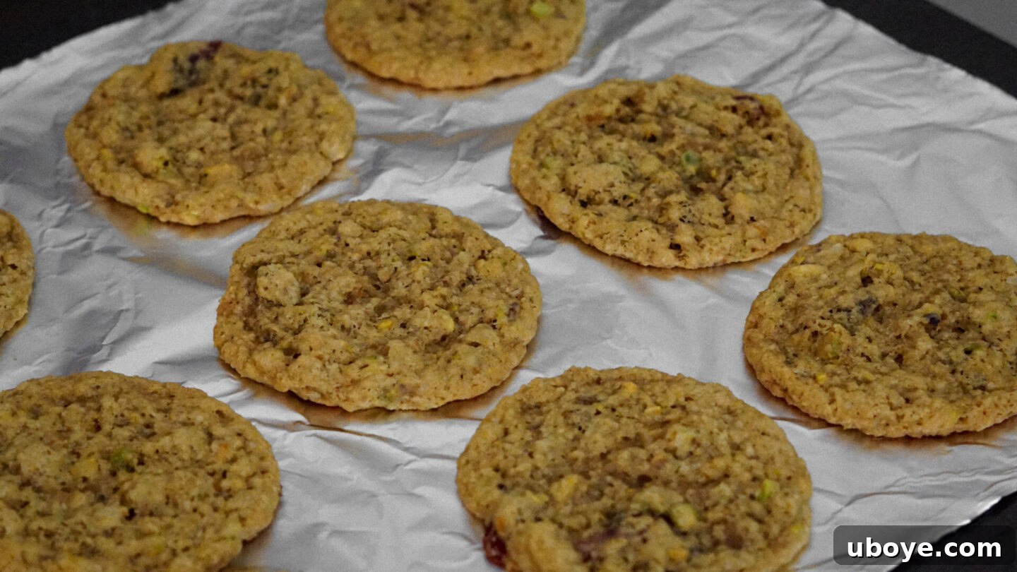 Frosted Cranberry Orange Delights 3 Close-up of vegan iced cranberry orange oatmeal cookies, showing texture and glaze.