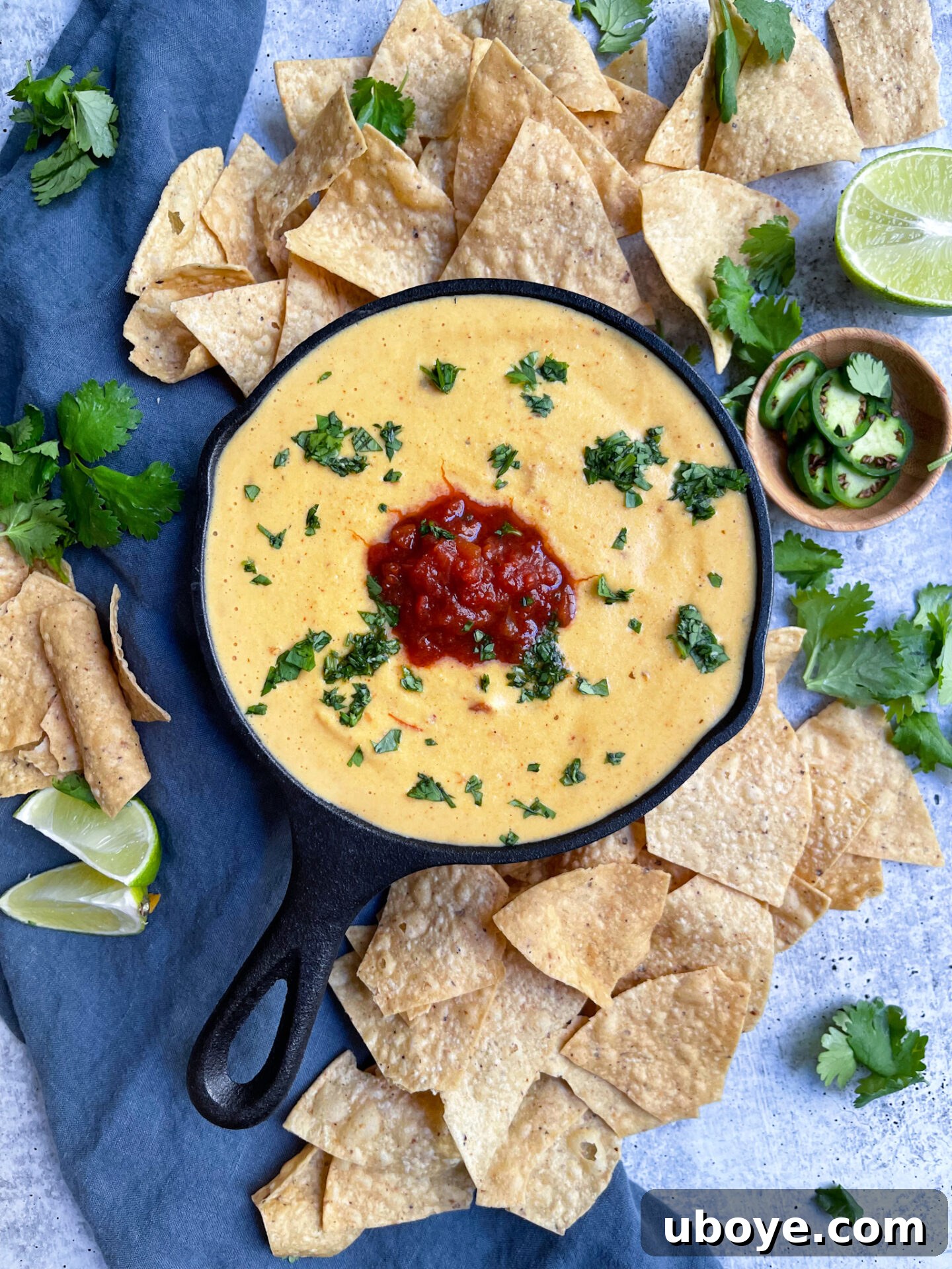 Velvety Plant-Based Queso 3 Close-up of creamy plant-based queso dip served with crunchy tortilla chips.