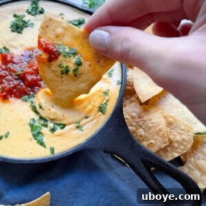A perfectly portioned bowl of Plant Based Queso Dip, garnished with cilantro, against a rustic background.