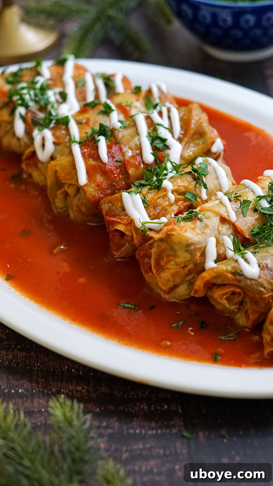 Hearty Plant-Based Cabbage Rolls 2 Close-up of freshly cooked vegan cabbage rolls in a rich tomato sauce, garnished with fresh herbs.