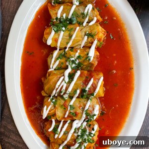 Delicious Vegan Cabbage Rolls ready to serve
