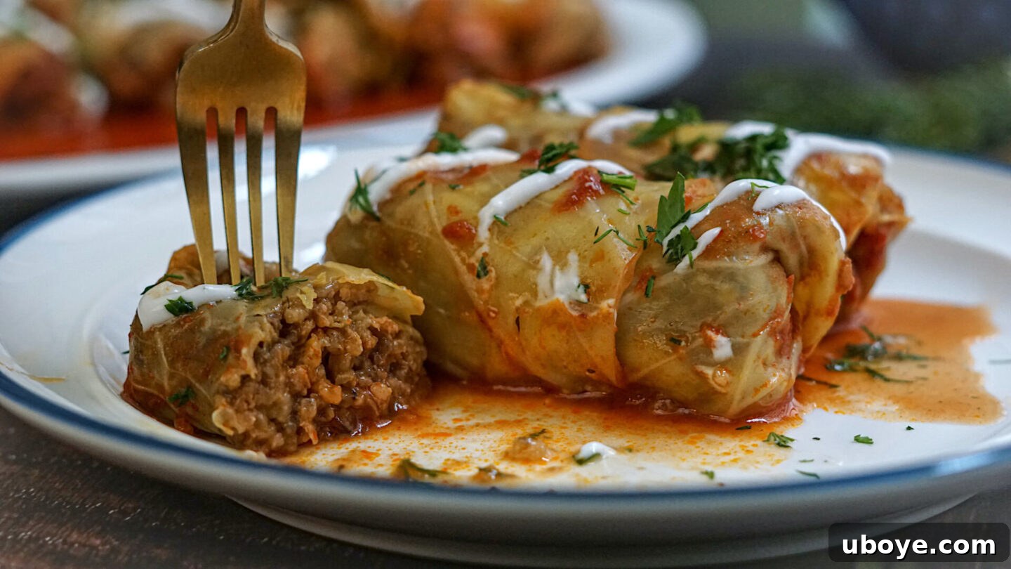Hearty Plant-Based Cabbage Rolls 3 Pile of meat-free cabbage rolls showing off their vegetable and rice filling, ready to be cooked.