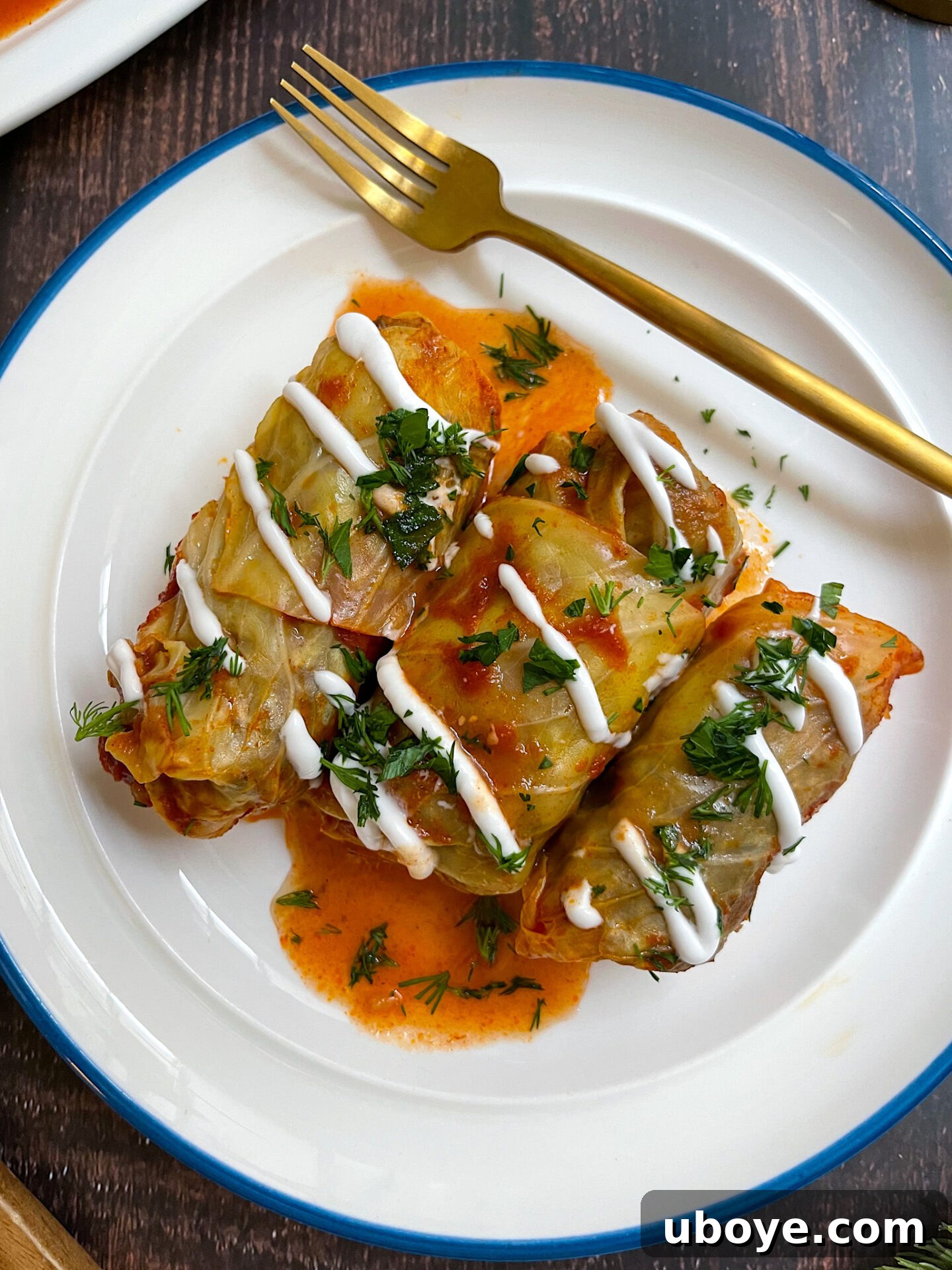 Hearty Plant-Based Cabbage Rolls 4 A large pot filled with uncooked vegan cabbage rolls, topped with fresh herbs and ready for the sauce.