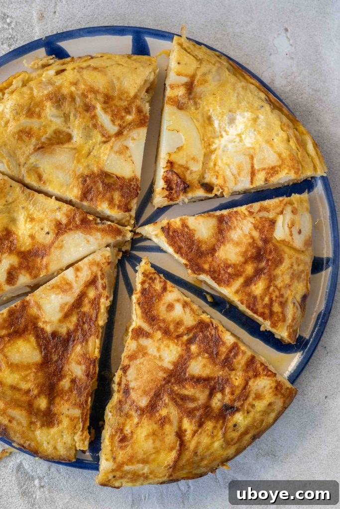 Authentic Spanish Tortilla 7 Spanish Tortilla served with fresh salad, perfect for a balanced meal.