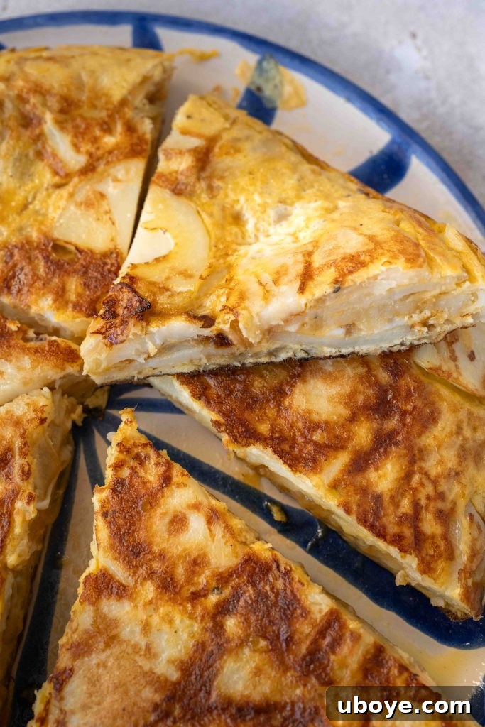 Authentic Spanish Tortilla 8 Delicious slice of Spanish Tortilla, ready to be enjoyed.