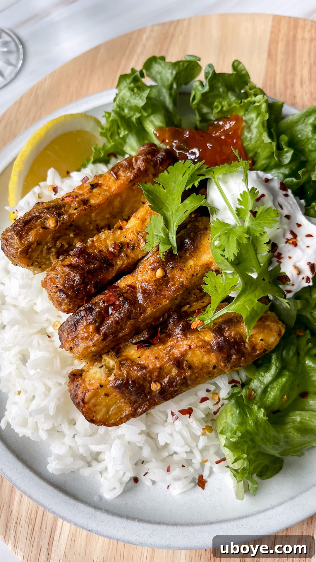 A beautifully presented plate of Air Fryer Tandoori Tempeh, garnished with fresh cilantro and a dollop of cooling yogurt sauce, ready to be enjoyed as a complete meal.